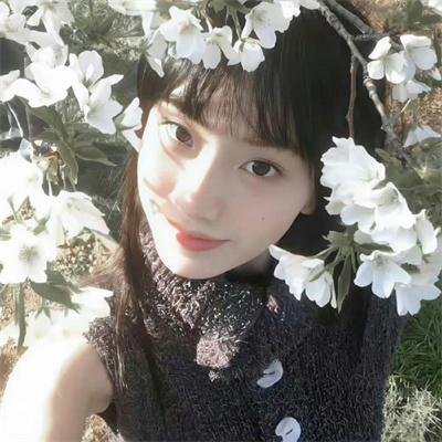 奇思妙探第二季